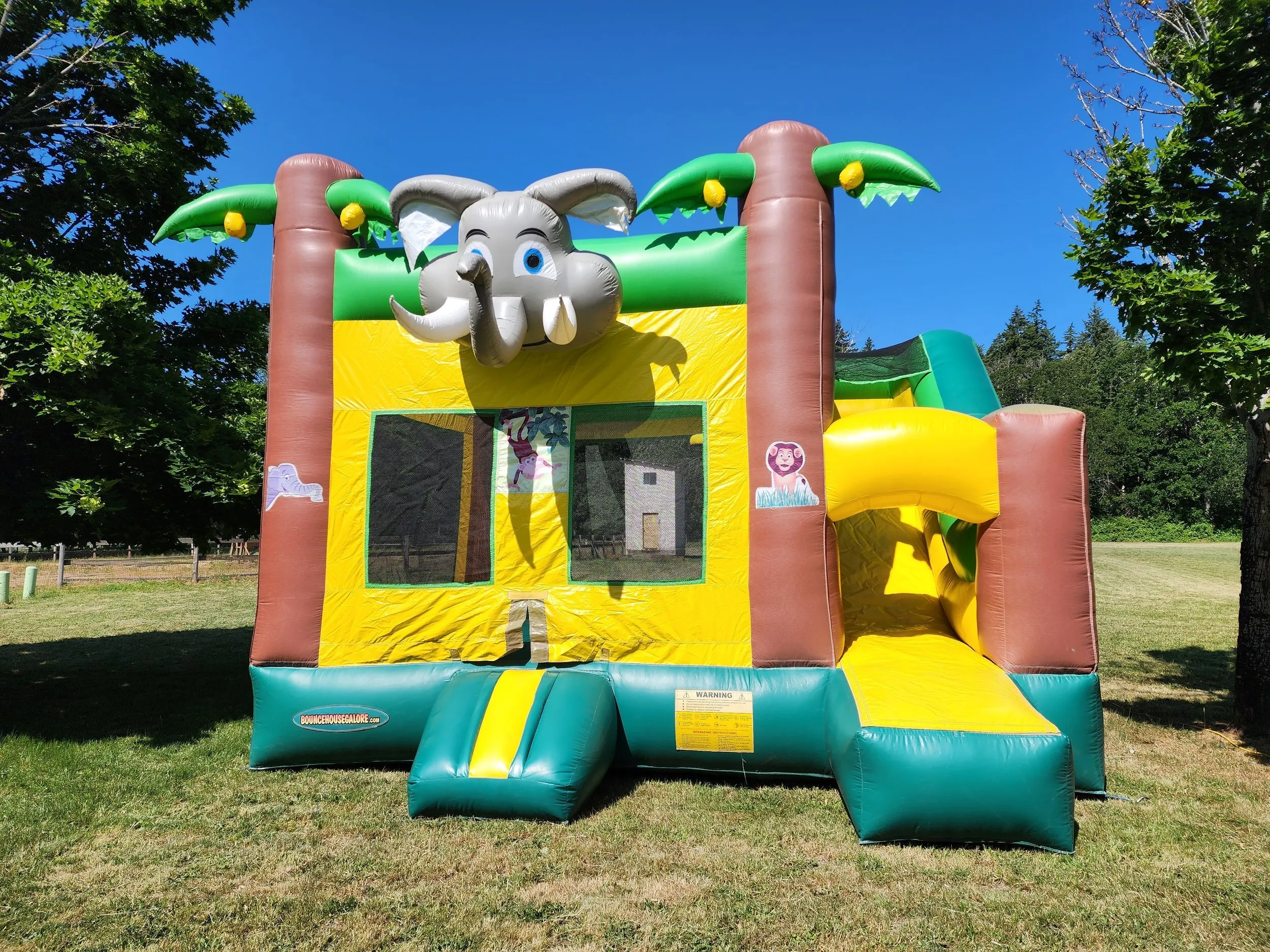 Jungle combo bouncer 