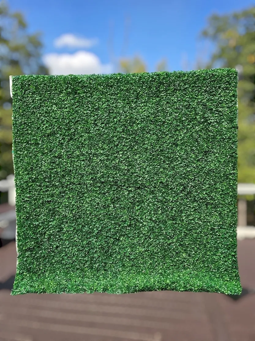 8x8 ft Green Boxwood Wall