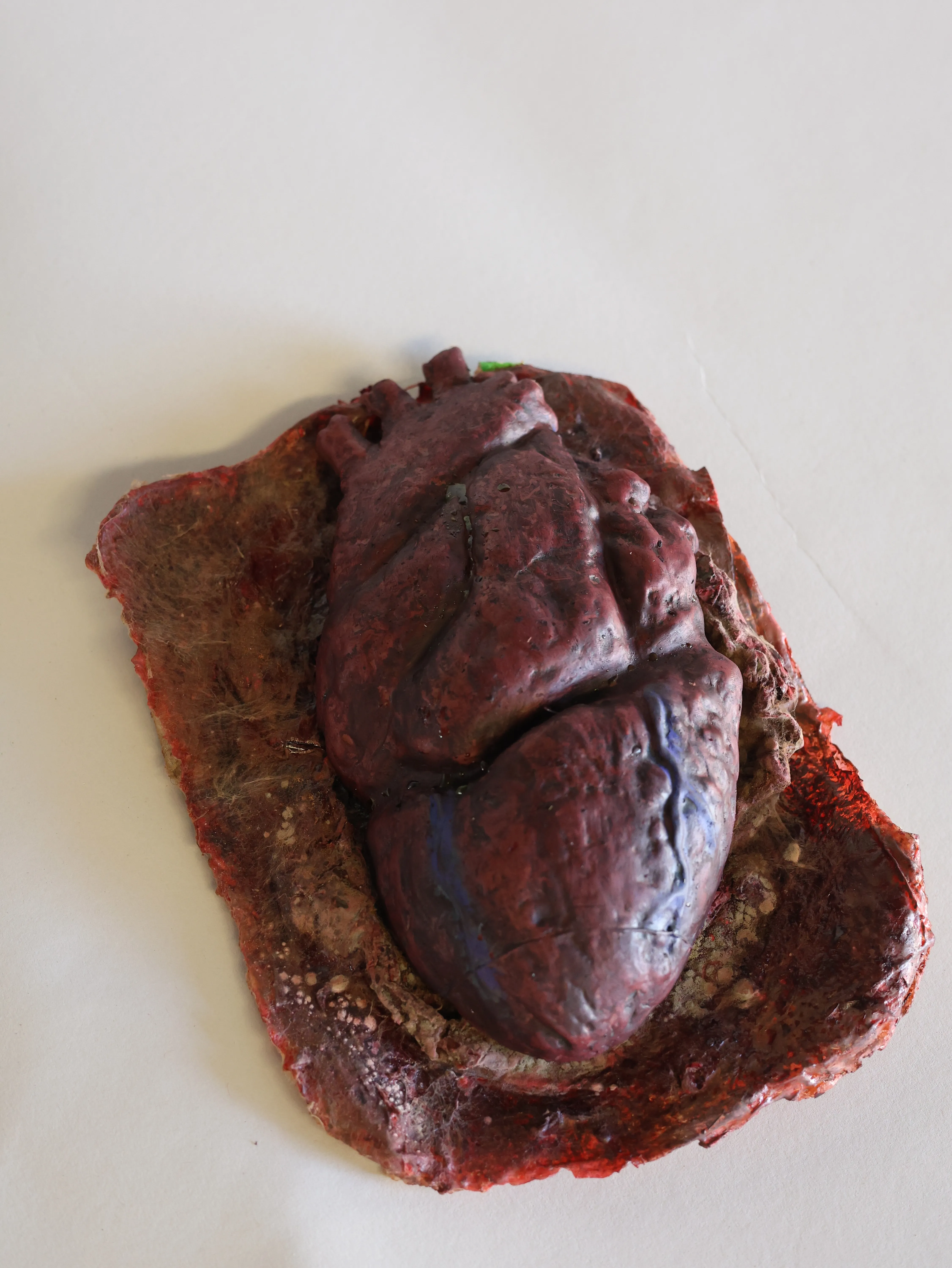 Fake Heart organ