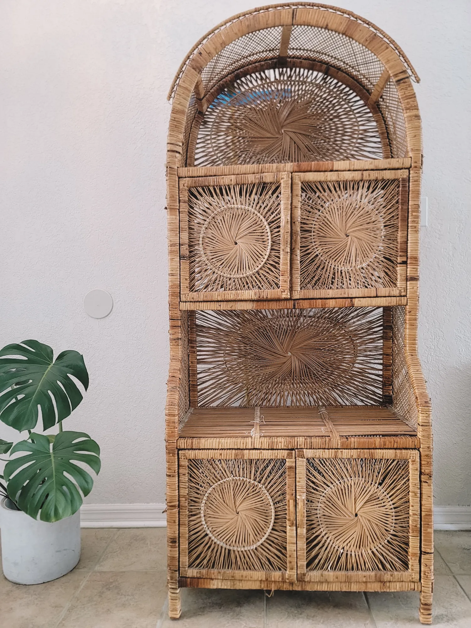 Rattan Shelves with doors