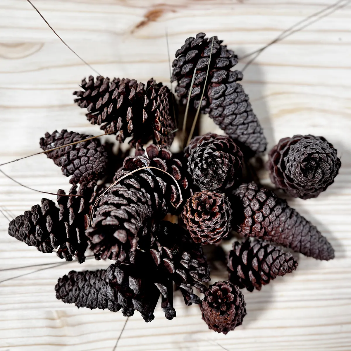 Natural Found in Nature Pinecones