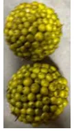 decorative green balls