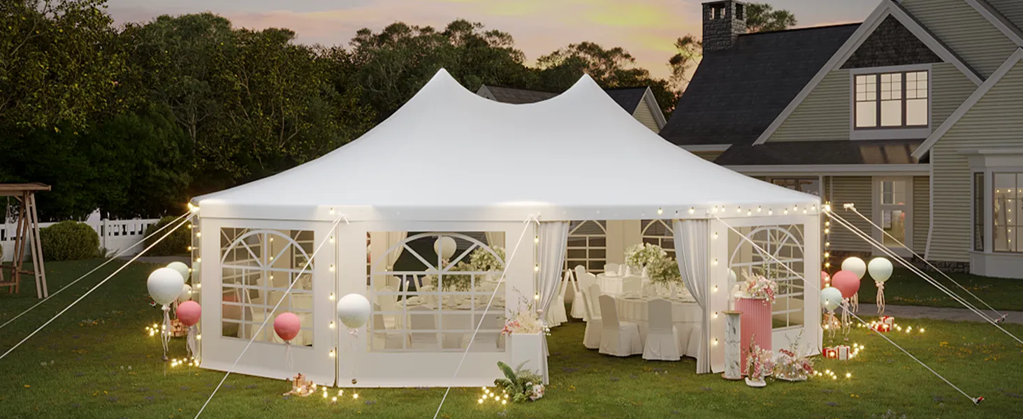 Wedding Tent & Party