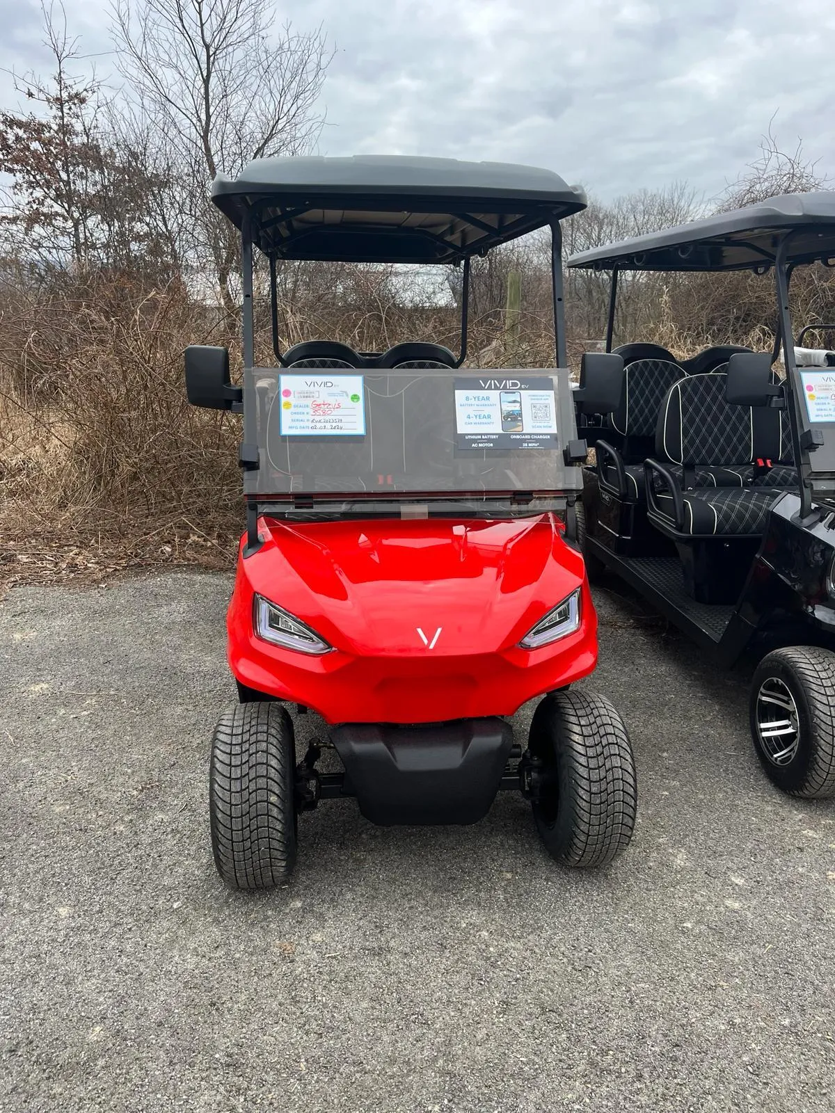 2024 vivid ev v6 