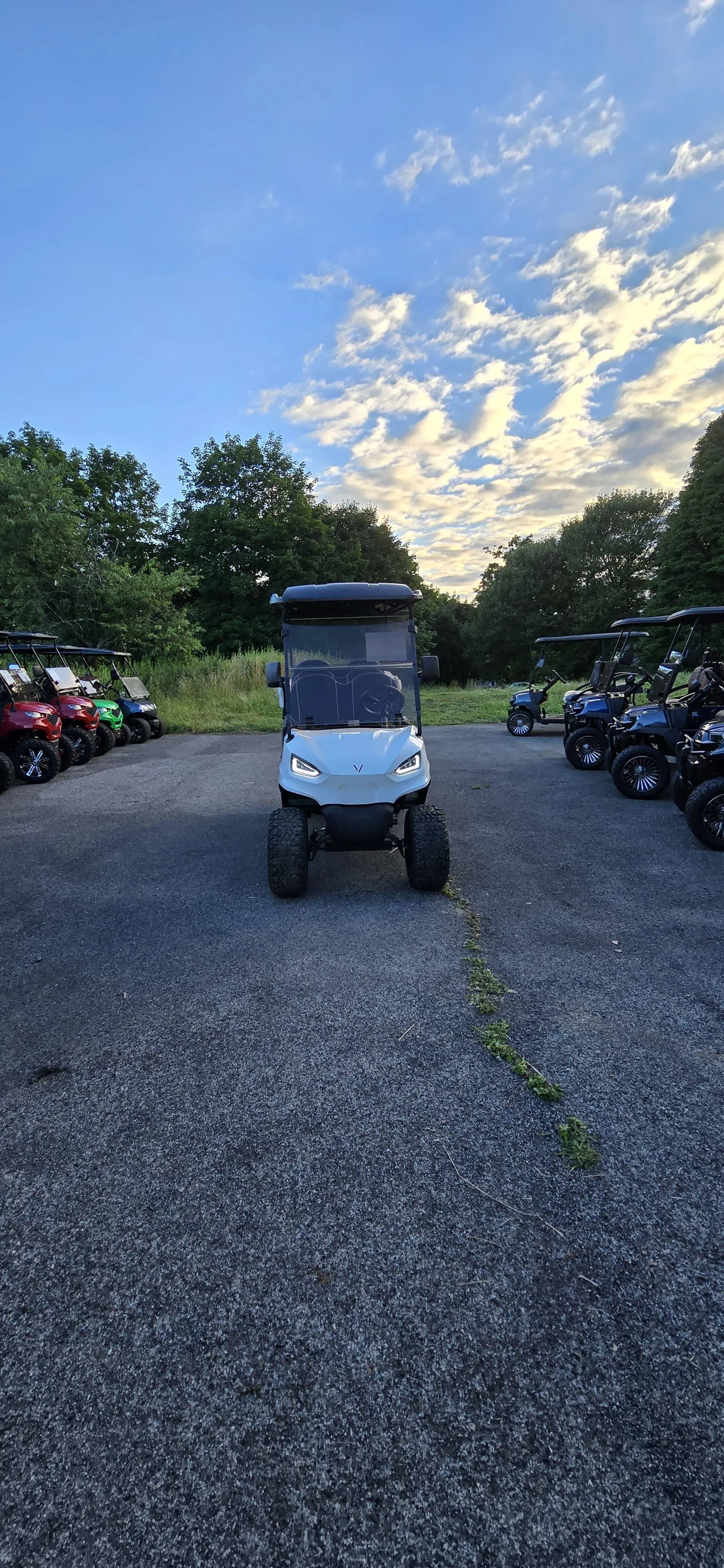 2024 vivid ev v6l
