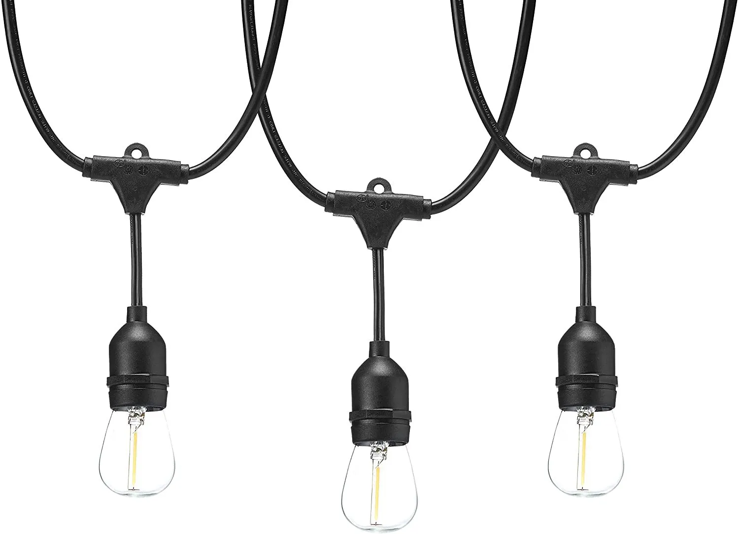 Tent Lights (10 x 10)