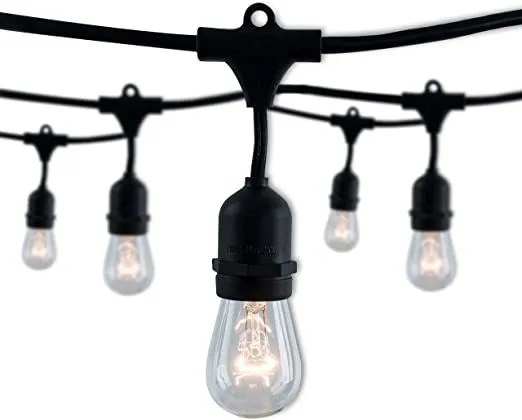 Lights (10 x 20)
