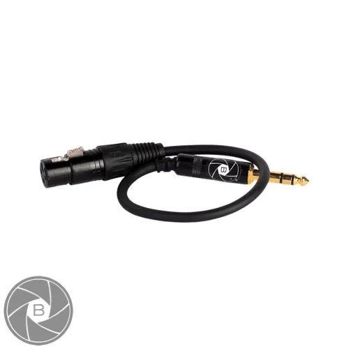 (Female) XLR > Jack