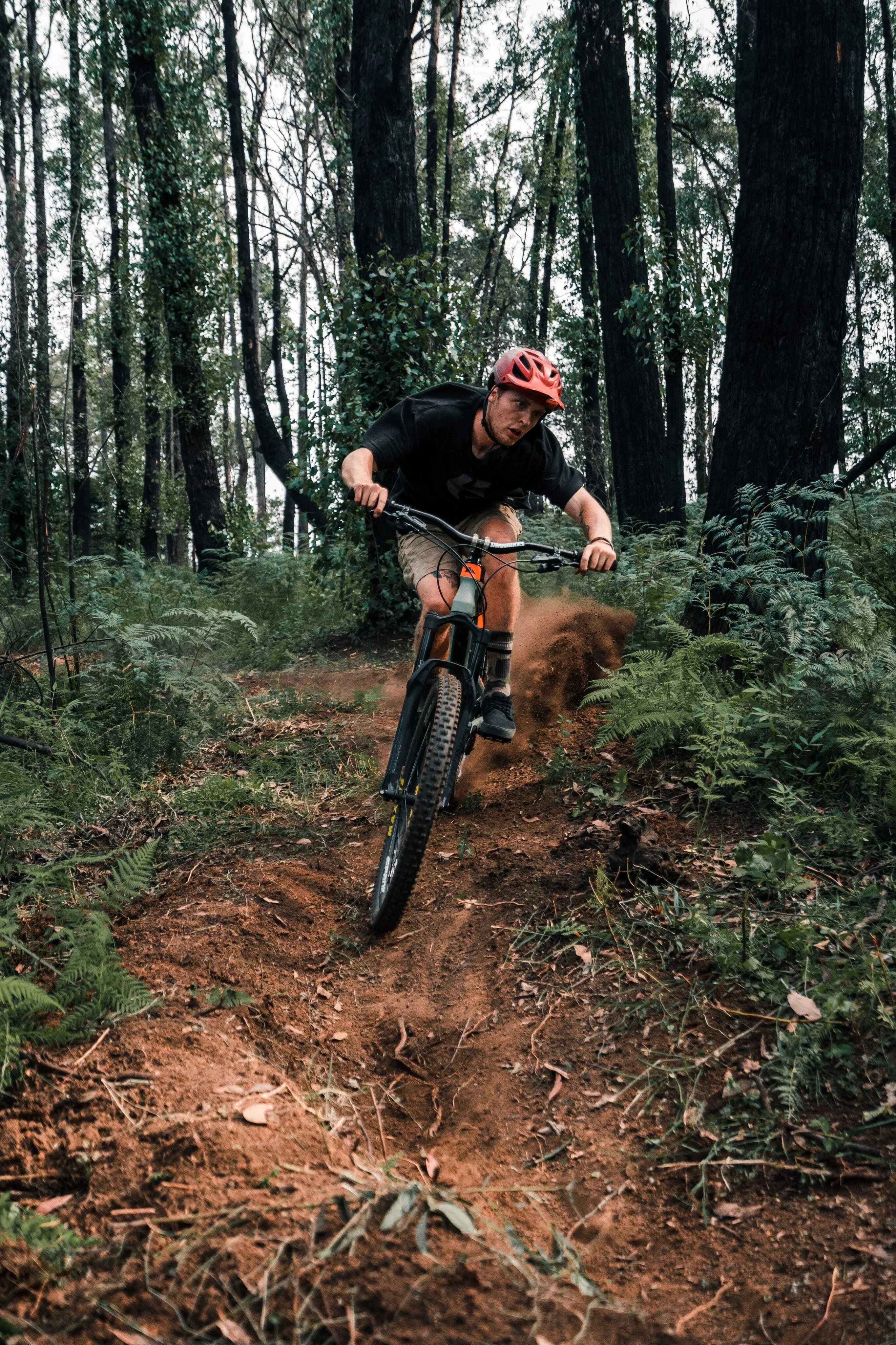 Bikes