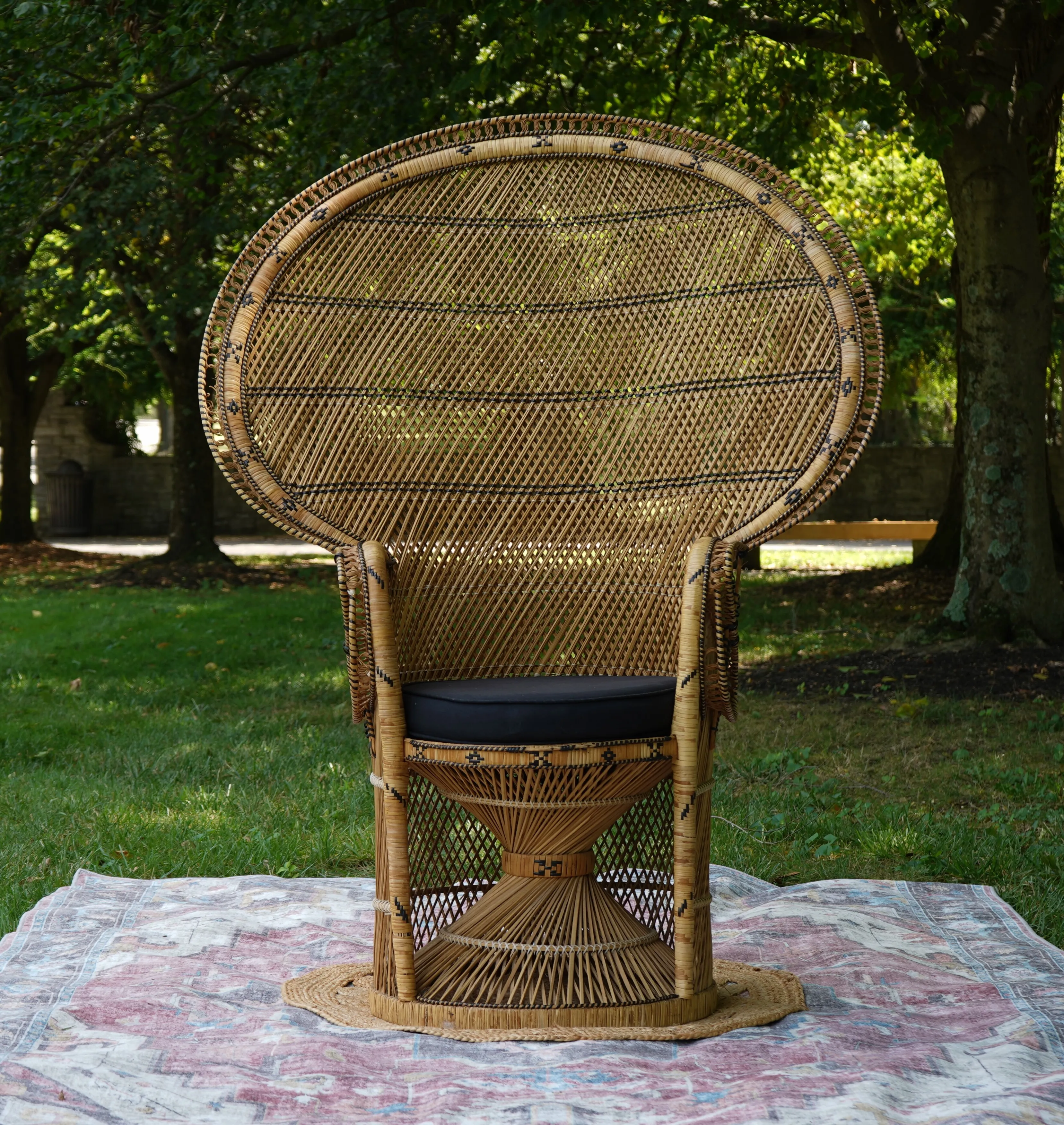 Lily Peacock Chair Ivory + Elm Rentals