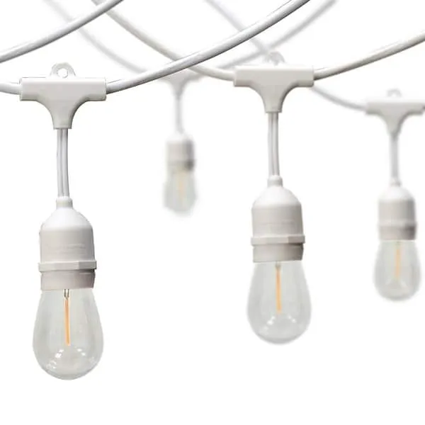 String Lights (50 Ft)