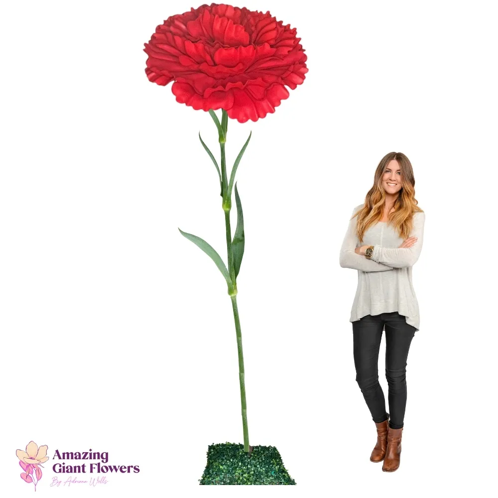 Flowers For Her Red Carnation Dianthus Giant Flower Rental