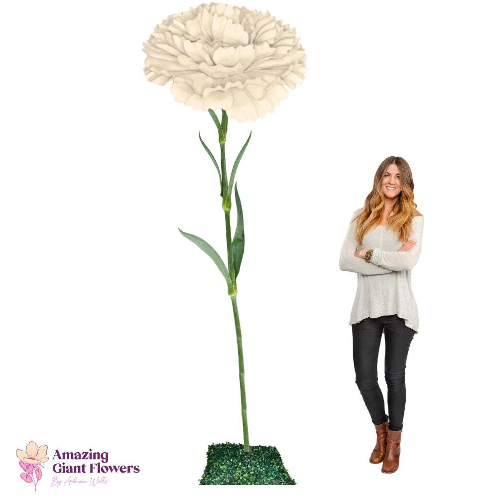 Funeral Flower Rental Ivory Carnation Dianthus Giant Flower Rental