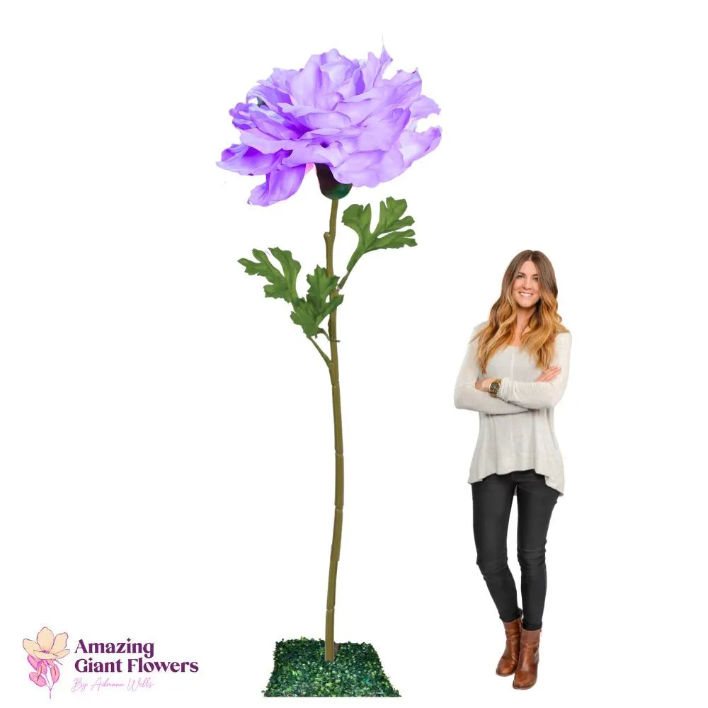 Memorial Service Decor Lavender Ranunculus Giant Flower Rental