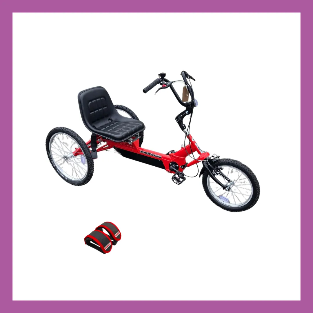 GYM 106 Tomcat Dragonfly Trike