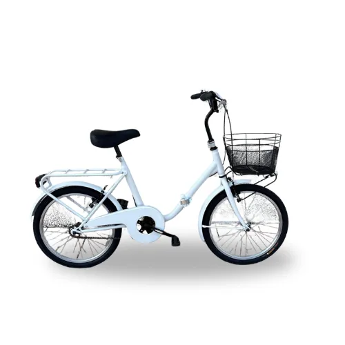 BICI PIEGHEVOLE