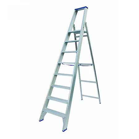 Trapladder PT08