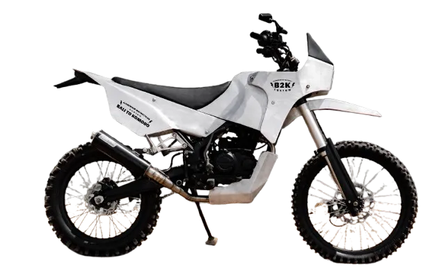 Kawasaki Custom