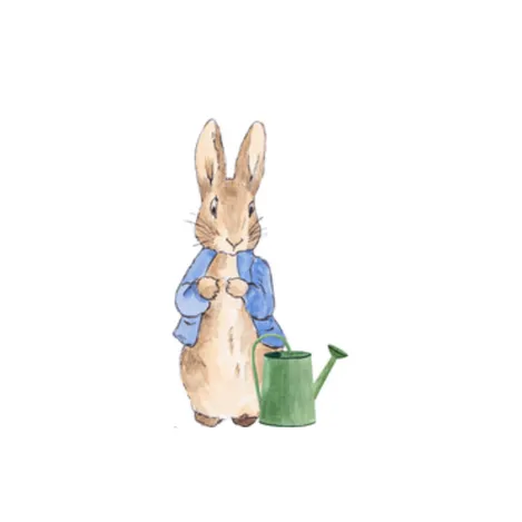 Pierre Lapin Forex