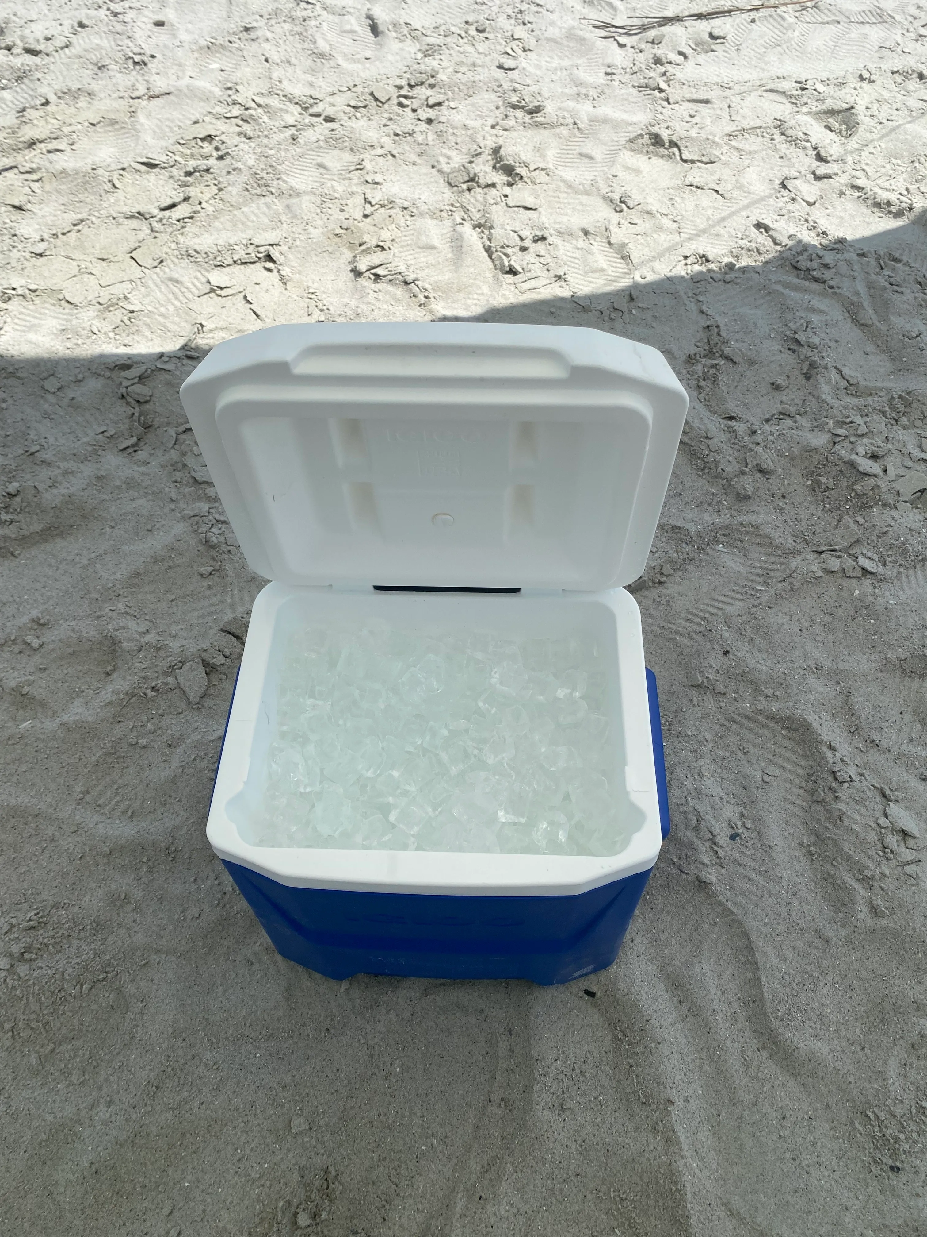 Cooler with Ice