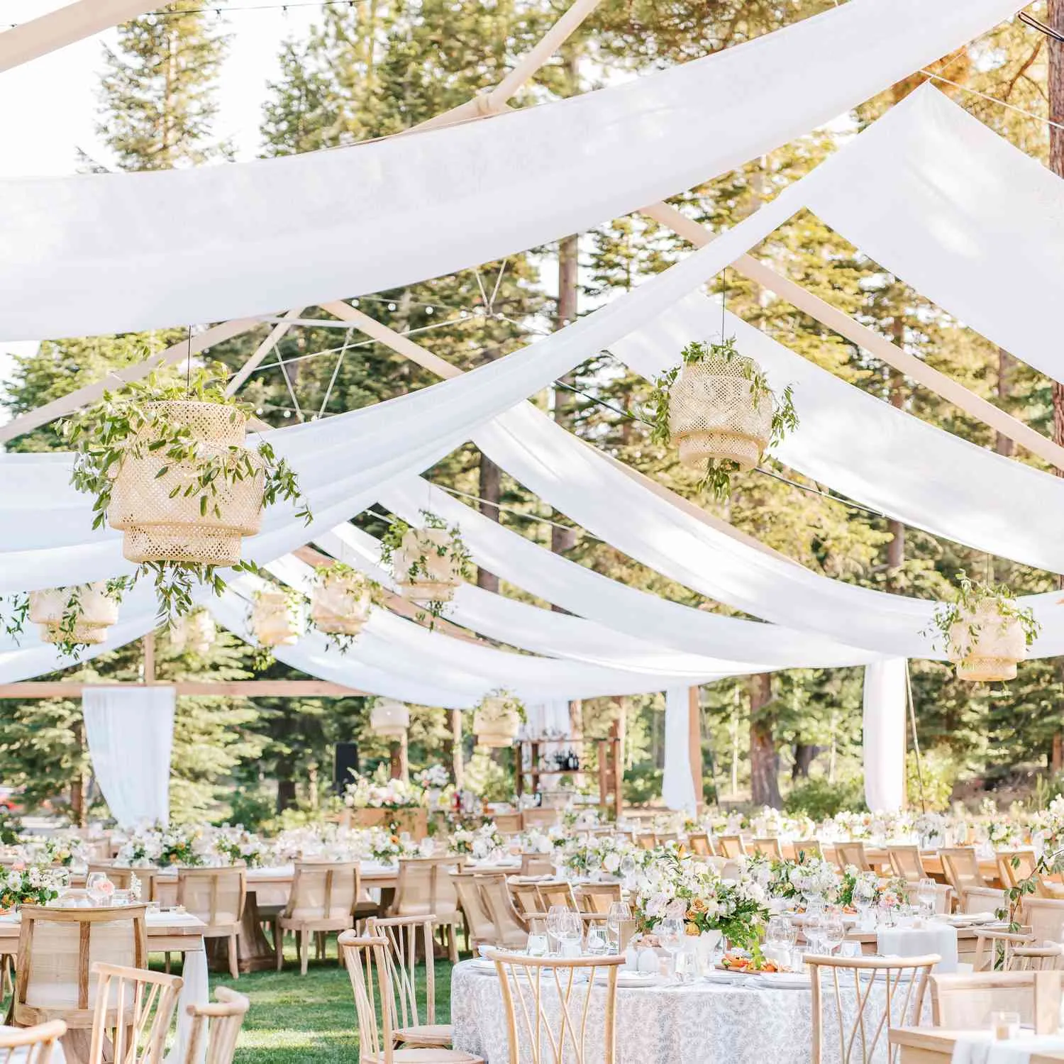 Drape Tent Set Up/Take Down on grass