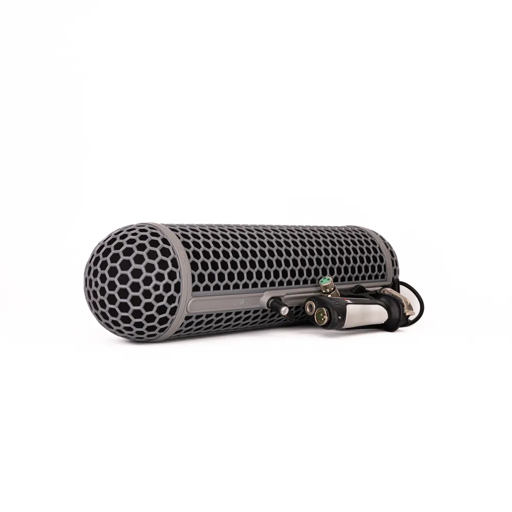 Audio
