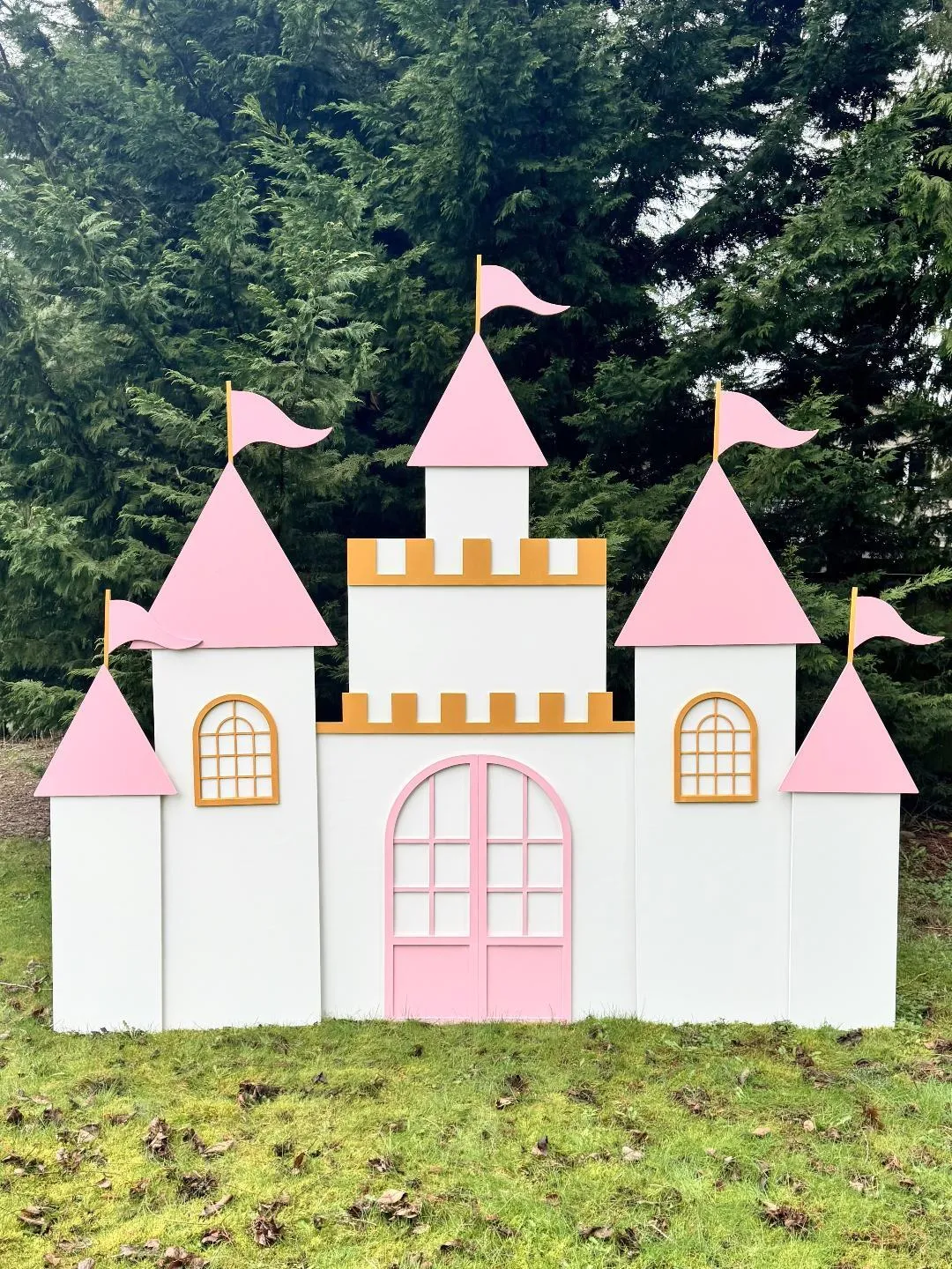 Castle #46 Backdrop