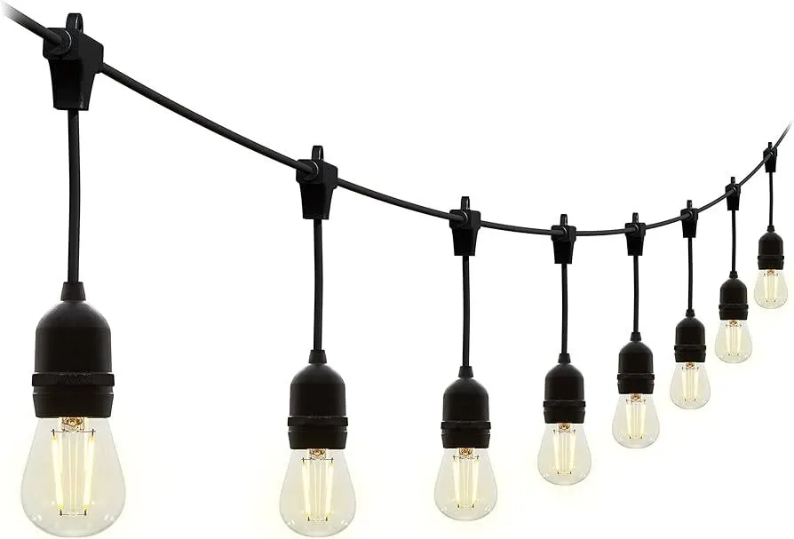 10m Festoon