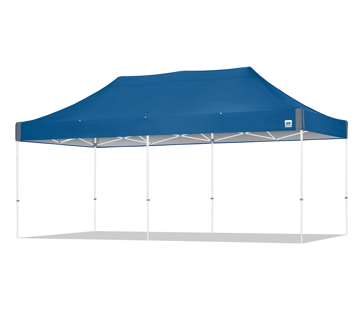 Large Tents and Pop ups