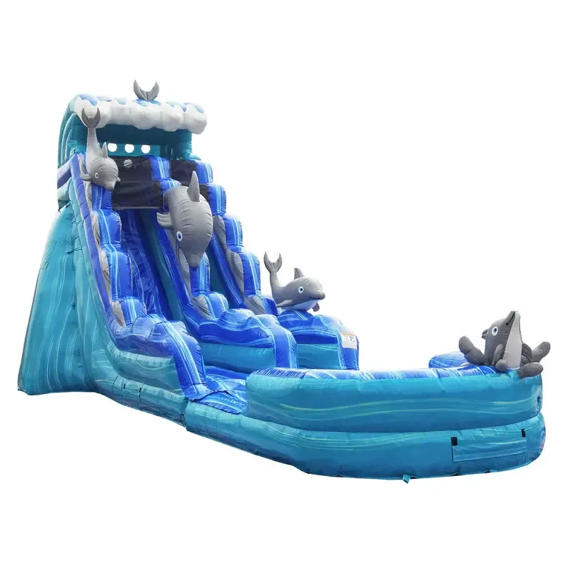 19ft Dolphin Water Slide (Pool)