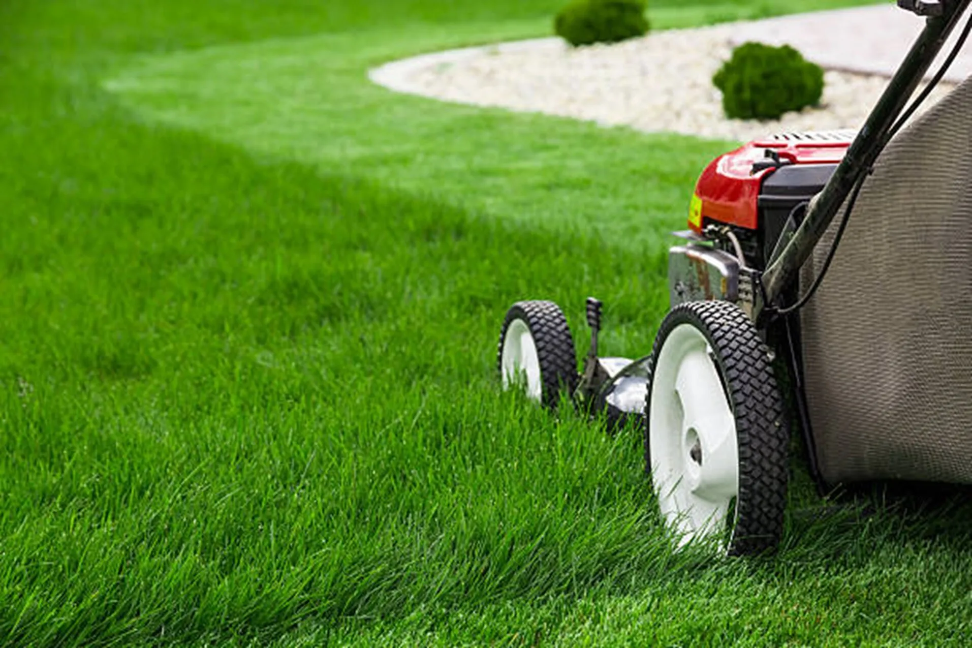 Lawn & Garden