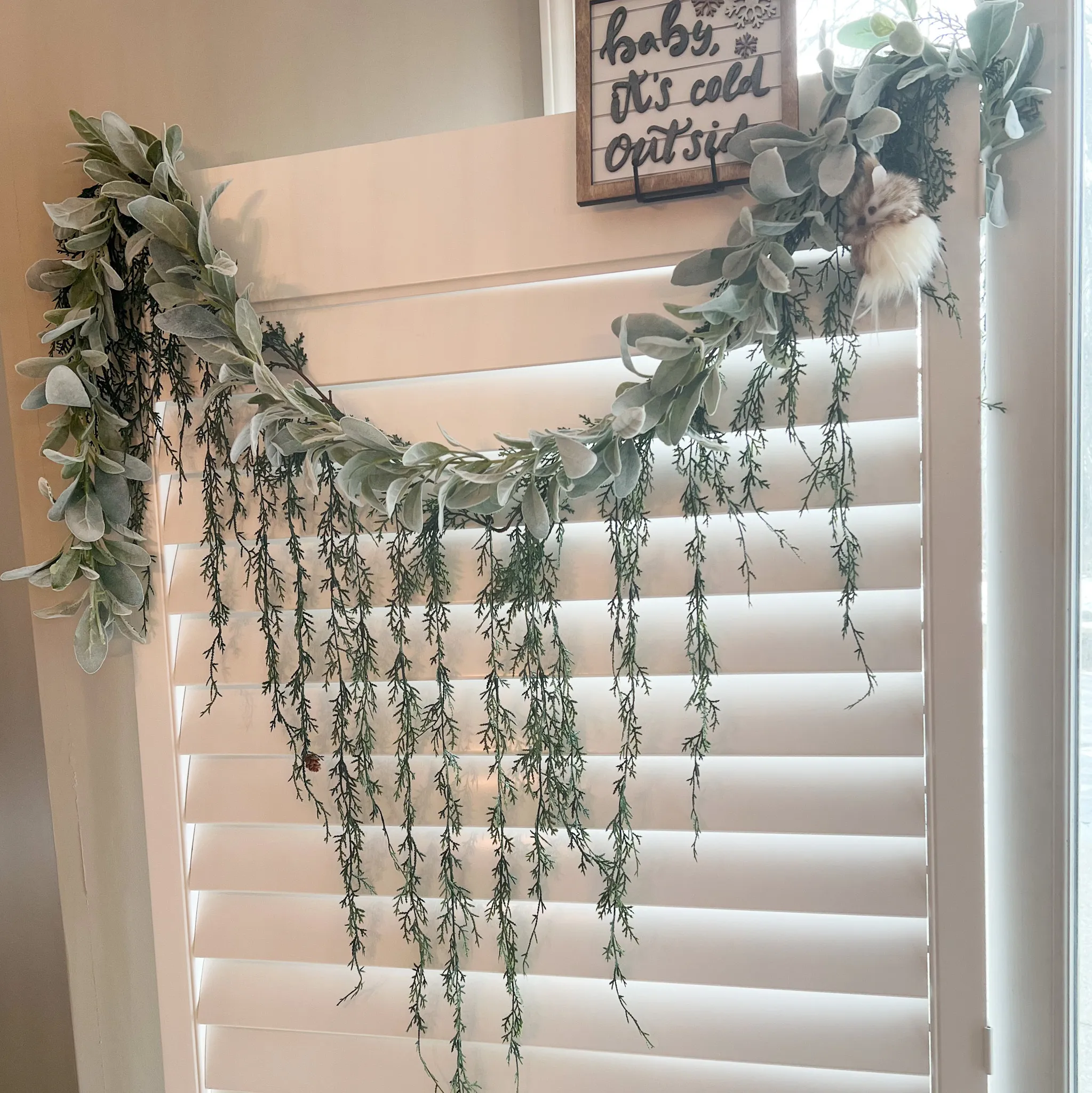 White Shutter Backdrop