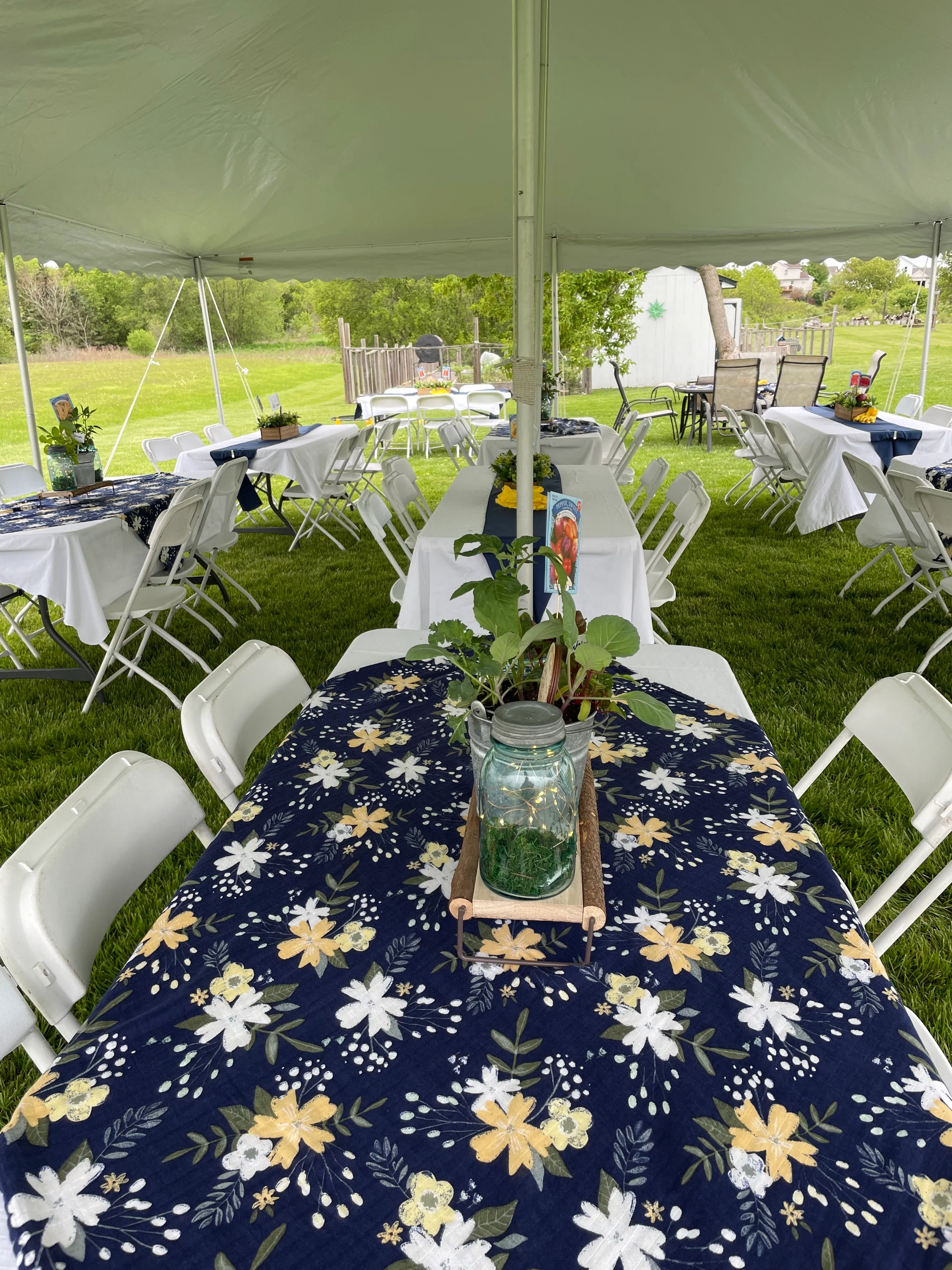 Tent + 80