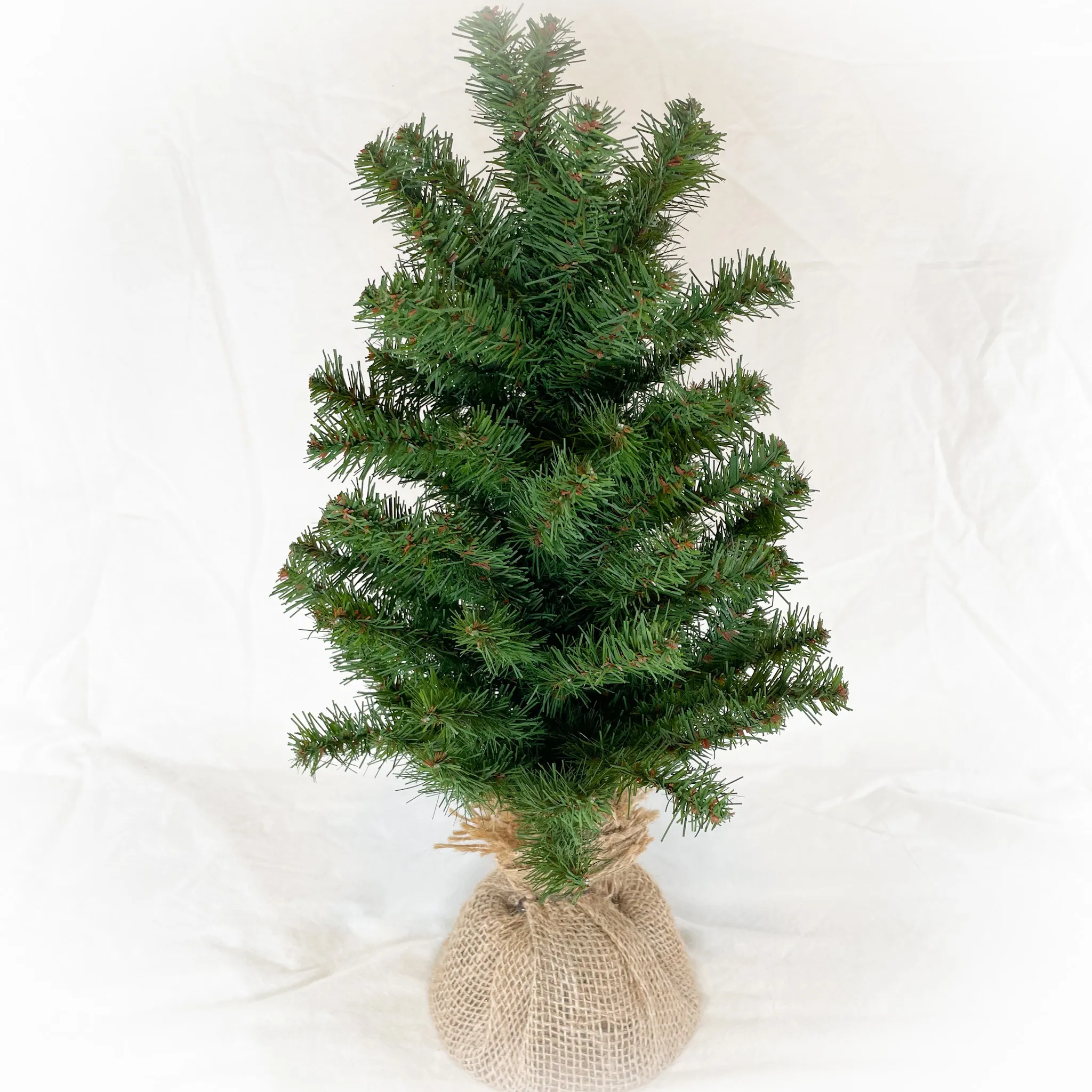 Evergreen Trees