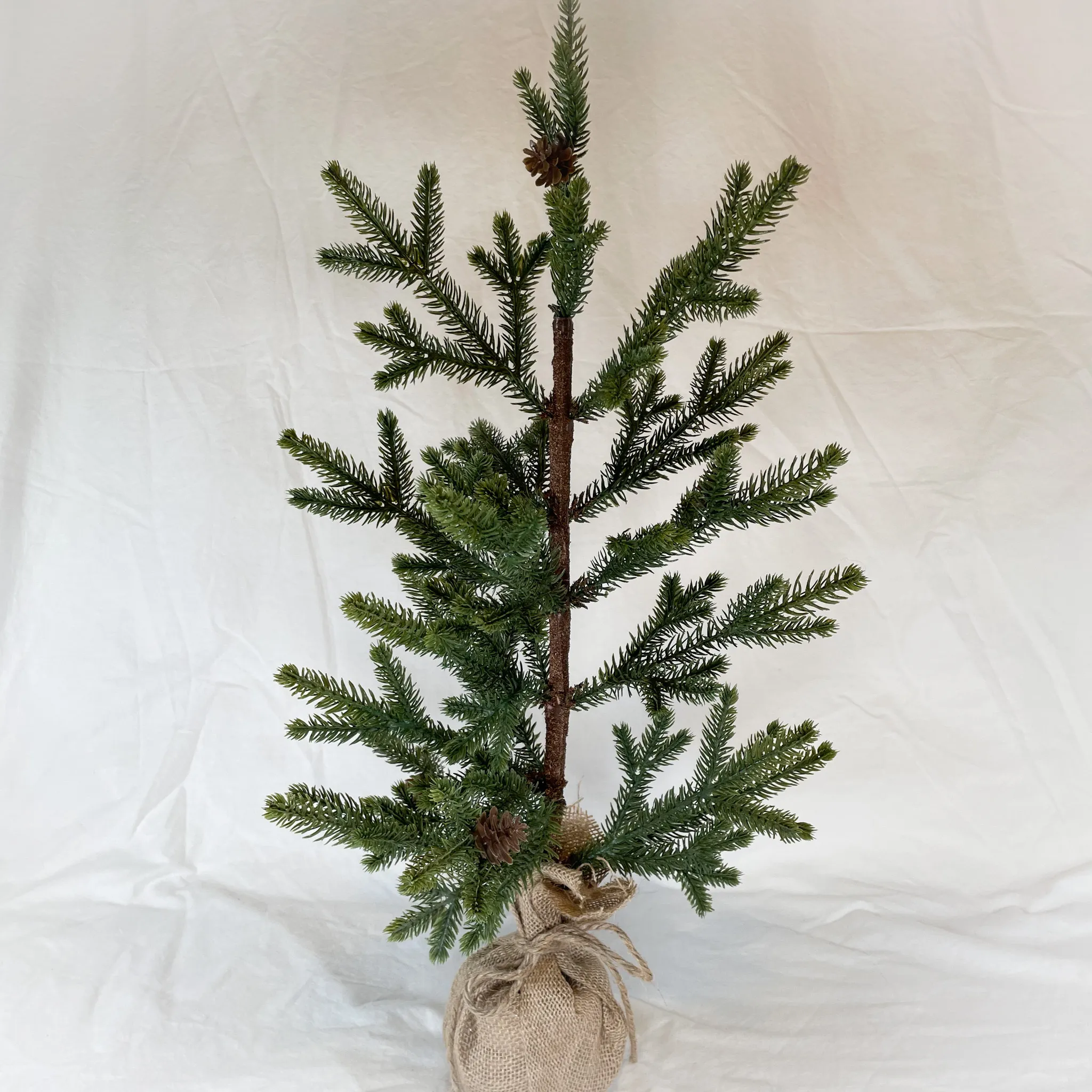 Evergreen Trees