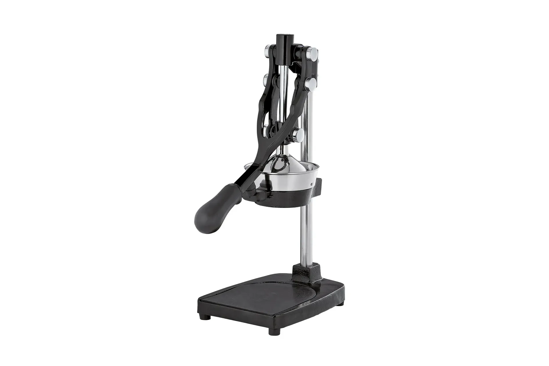 Profi-Granatapfelpresse