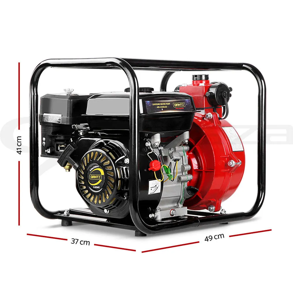 Transfer Pump (Petrol)