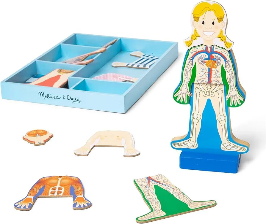 Melissa & Doug Magnetic Human Body Anatomy