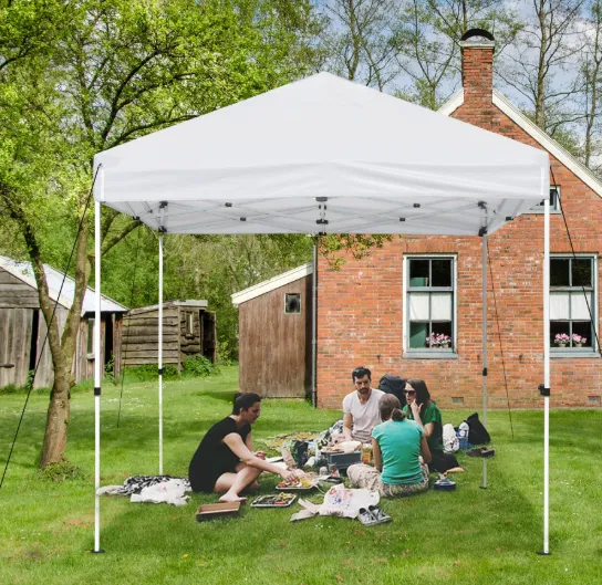 10x10 Tent