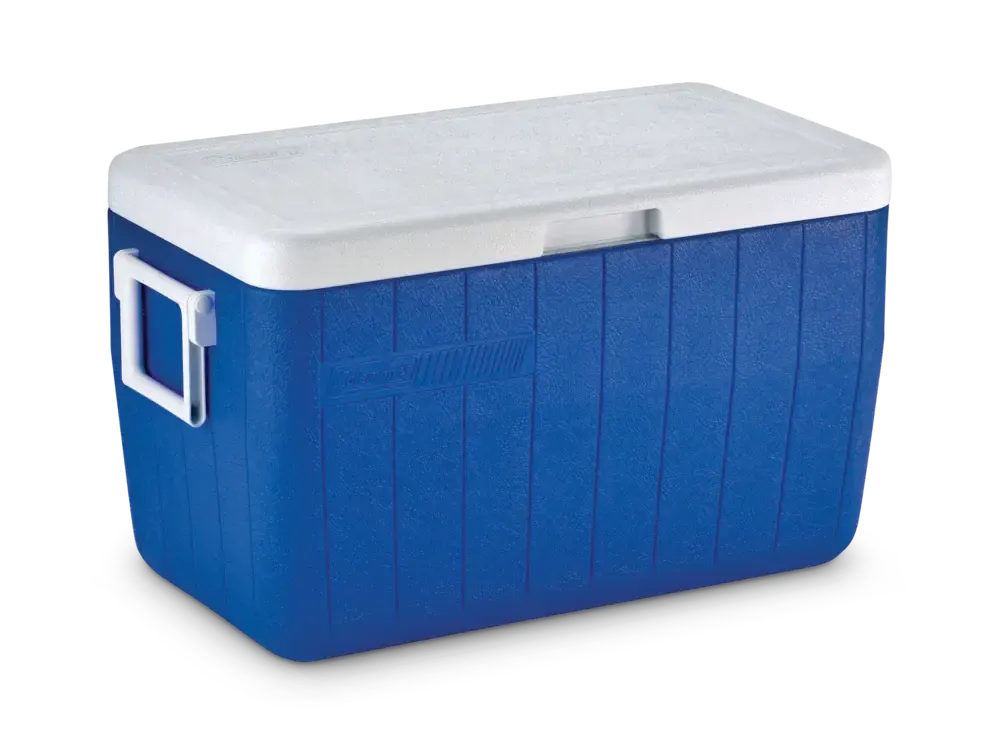Medium ice chest 2025