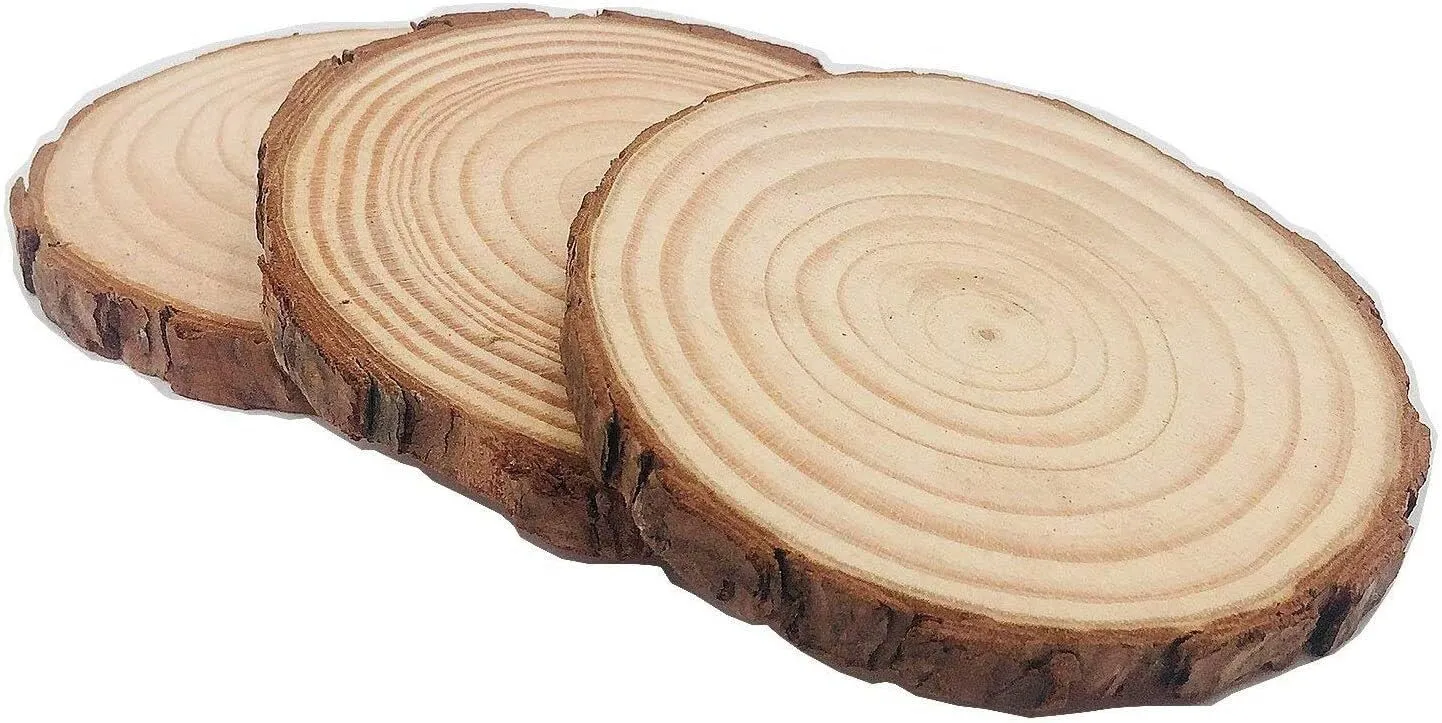 Présentoir Rondin de Bois sans Trou 10 Pcs Diamètre 11-12cm Tranches de Bois Naturel Convient pour Decoration Noel Bois Marque Place Mariage Pyrograveur Bois
