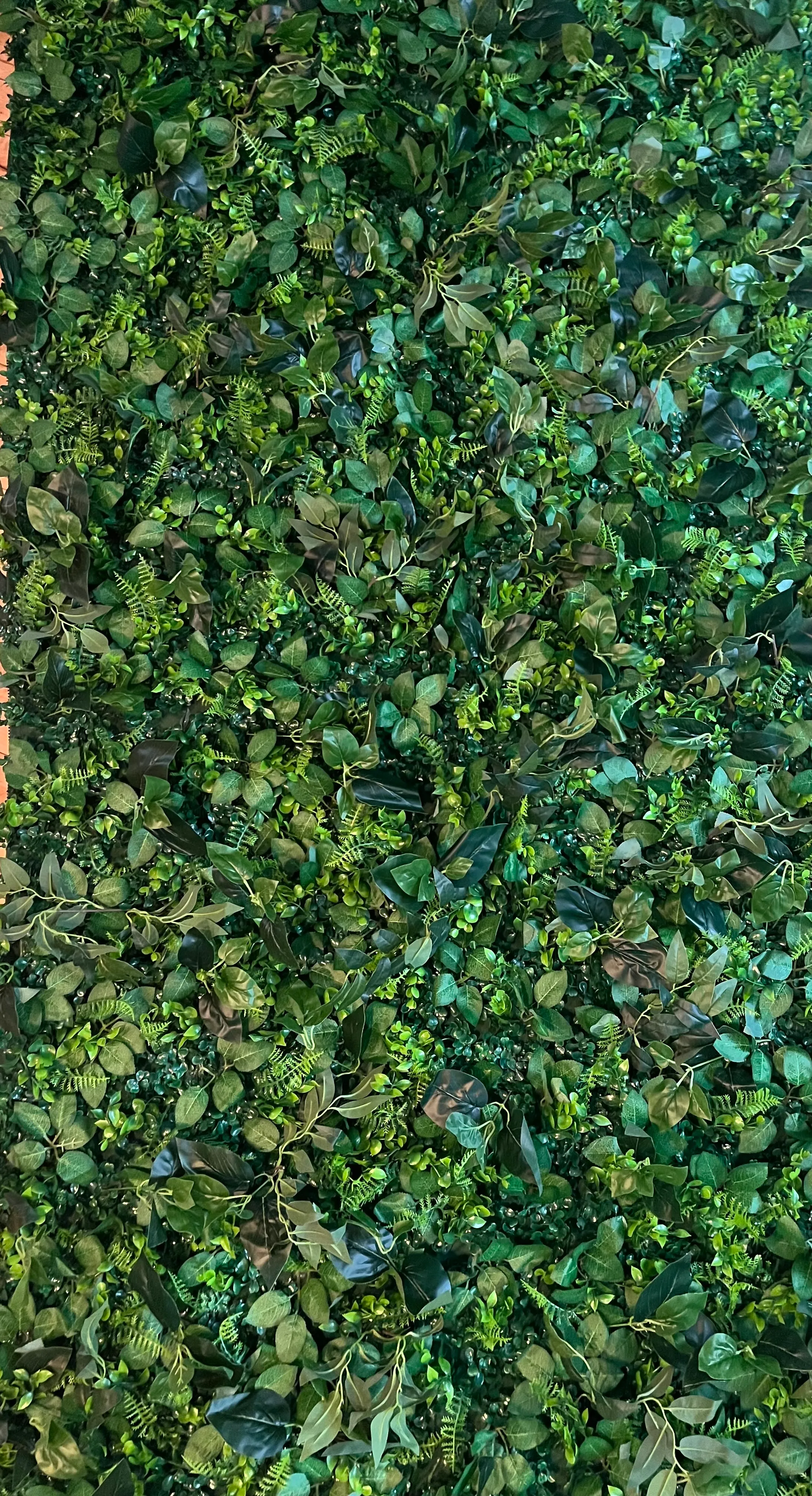 Greenery Wall 8x8