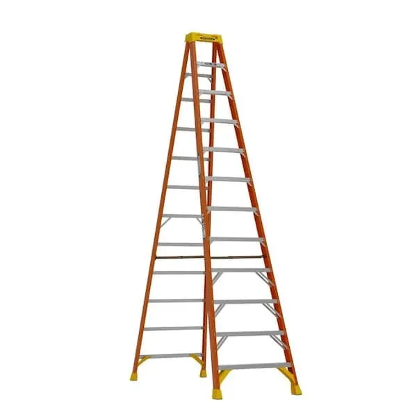 Ladder 12 Step