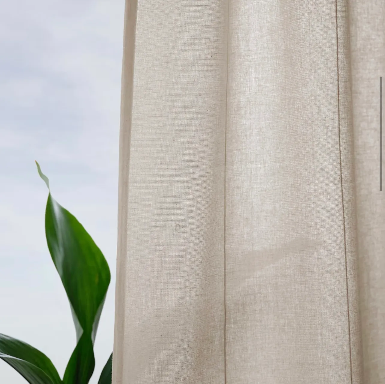 Curtains - Ecru - 55x98"