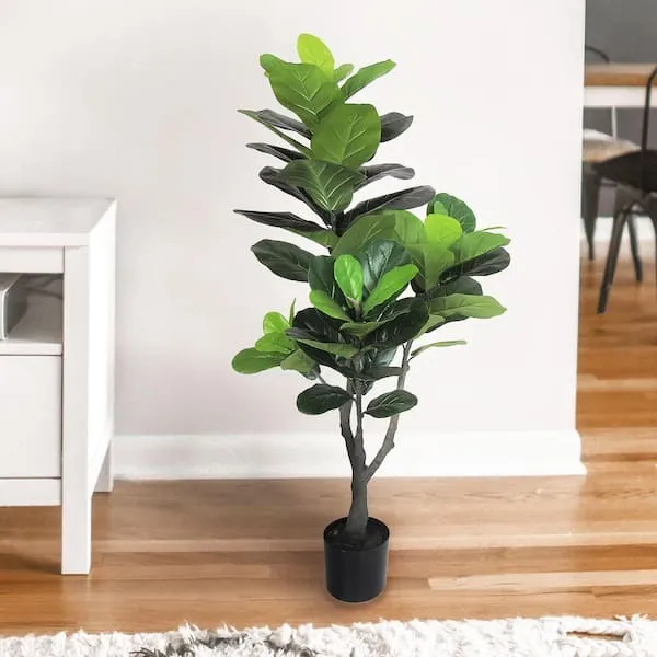 4' Fig Leaf