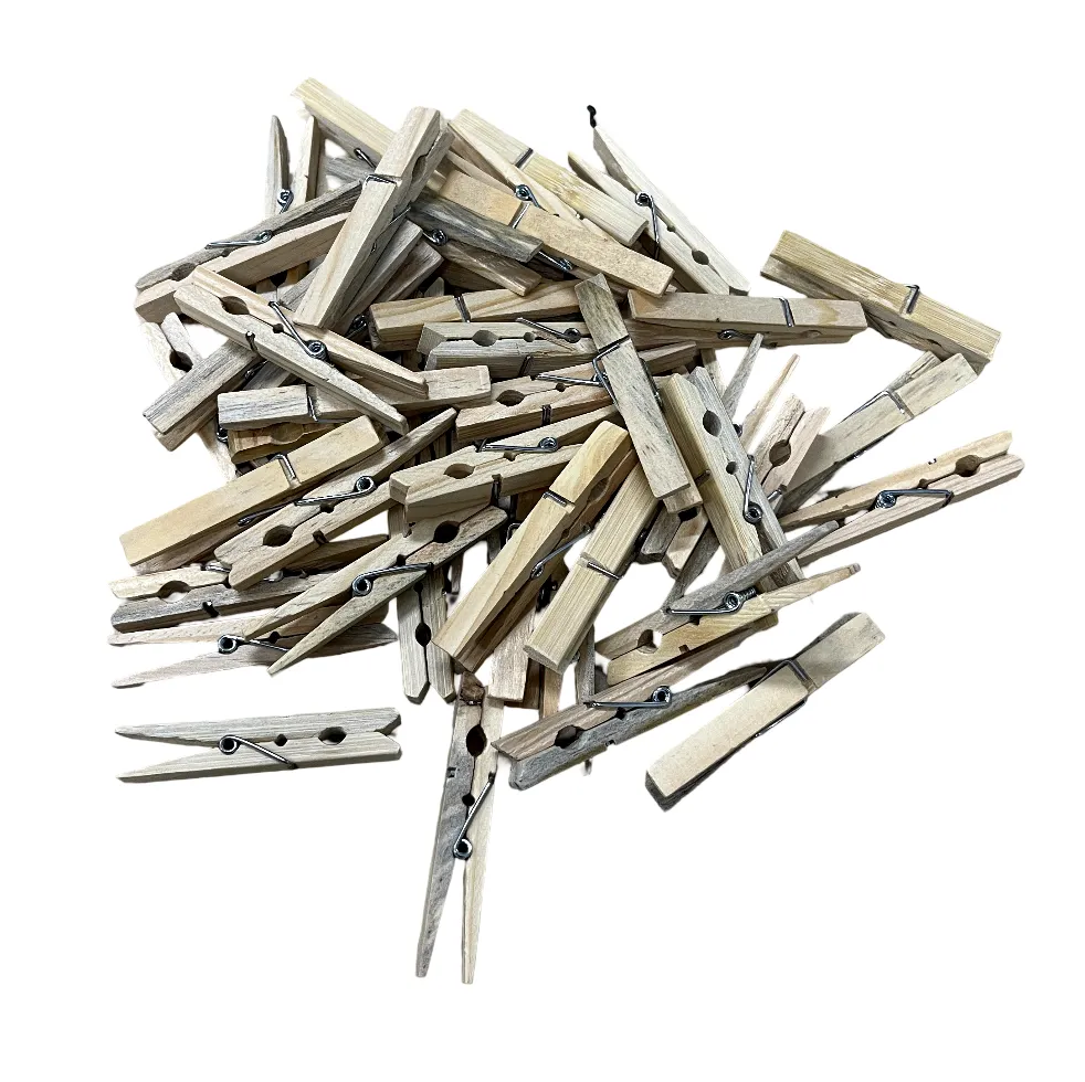 Wooden Laundry Pins Bunch