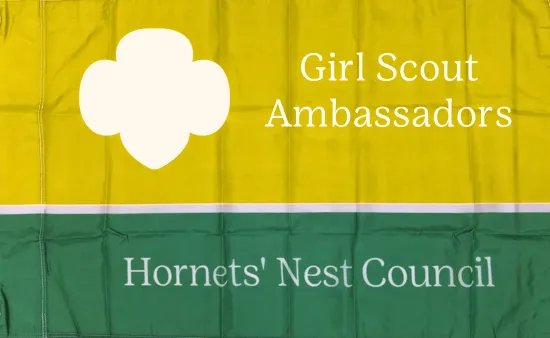 Ambassador Flag