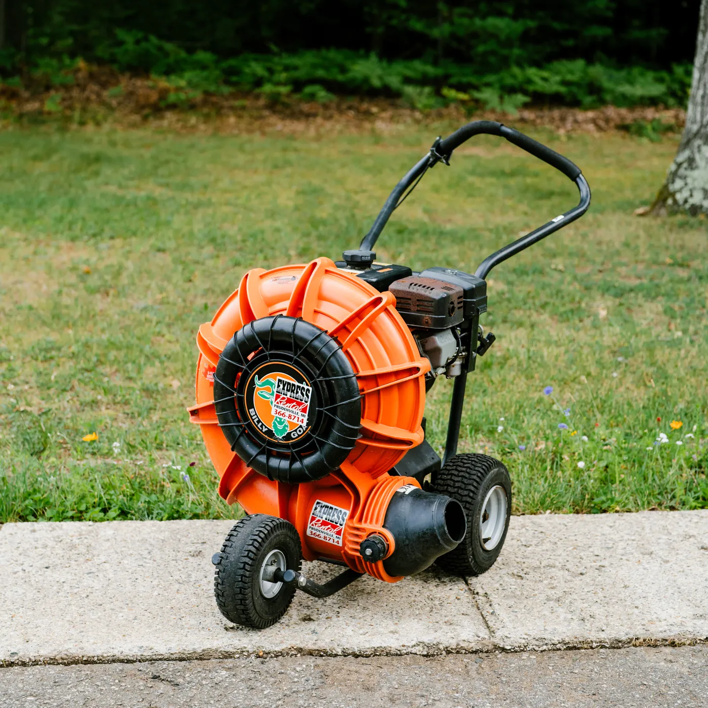 Leaf Blower