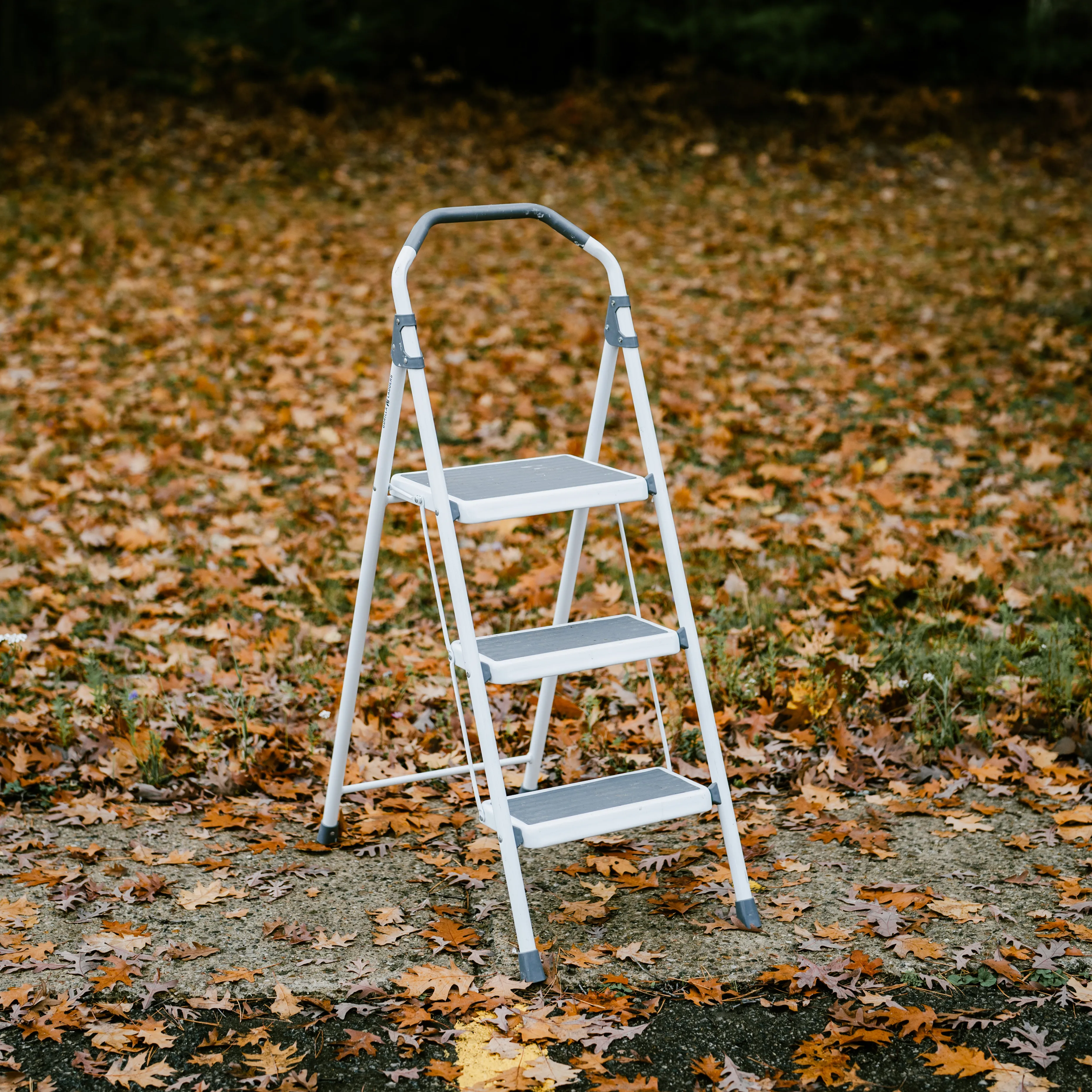 Step Ladder - 3 FT