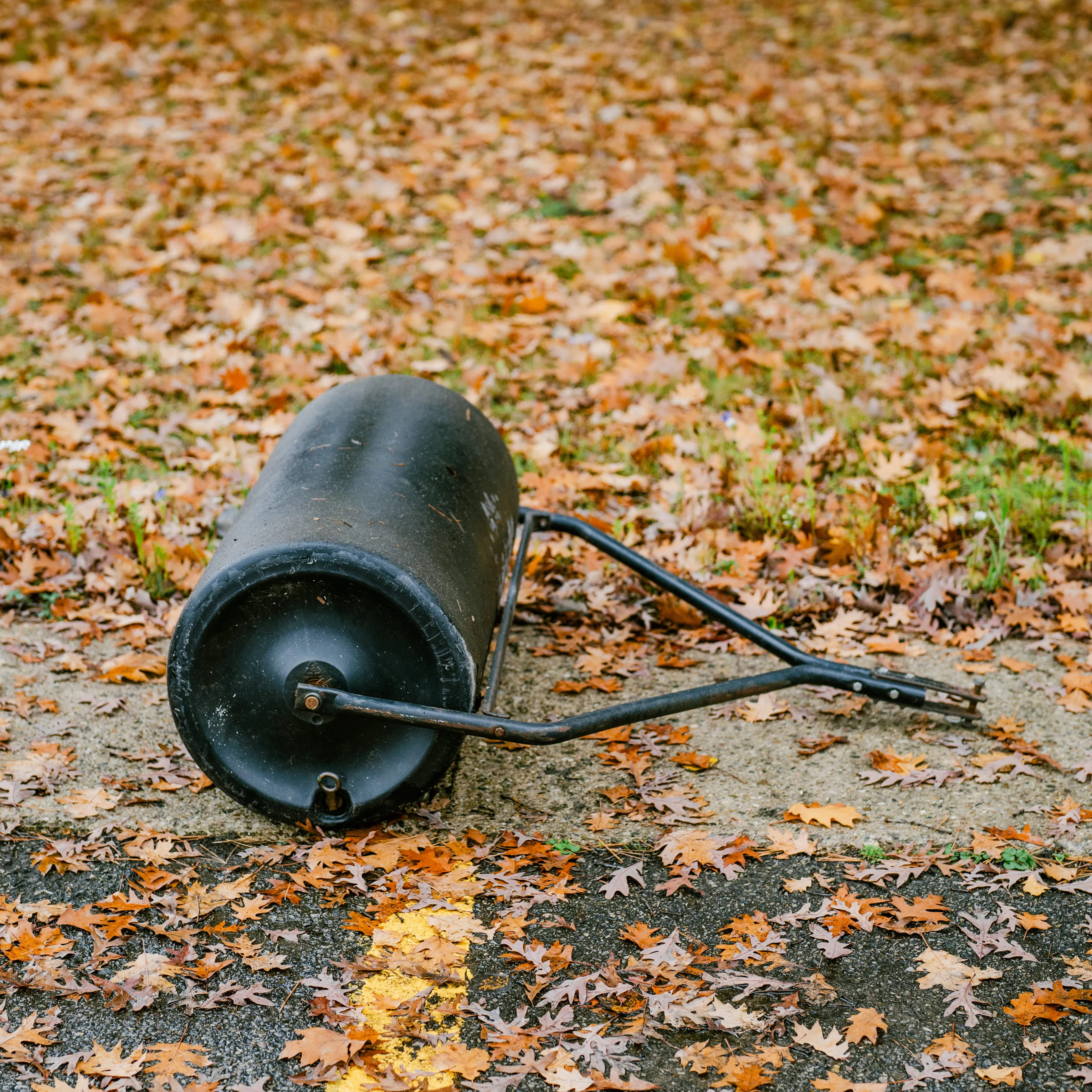 Lawn Roller